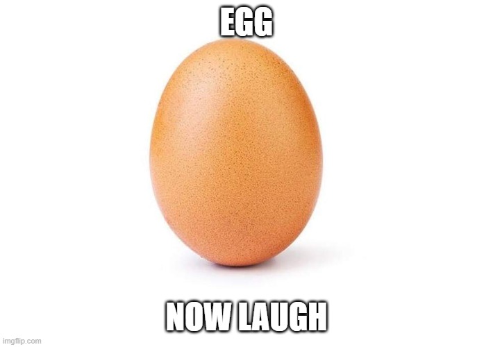 LAUGH | EGG; NOW LAUGH | image tagged in eggbert | made w/ Imgflip meme maker