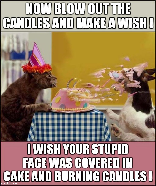 Birthday Wish Comes True ! | NOW BLOW OUT THE CANDLES AND MAKE A WISH ! I WISH YOUR STUPID FACE WAS COVERED IN
CAKE AND BURNING CANDLES ! | image tagged in cats,birthday wishes,dog | made w/ Imgflip meme maker