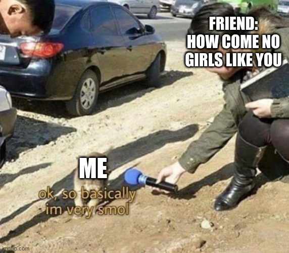 oof | FRIEND: HOW COME NO GIRLS LIKE YOU; ME | image tagged in very smol,how come | made w/ Imgflip meme maker