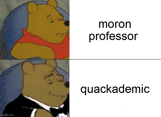 PhD in some BS discipline | moron professor; quackademic | image tagged in memes,tuxedo winnie the pooh,worthless degree,stupid,useless disciplines,pseudoscholarship | made w/ Imgflip meme maker