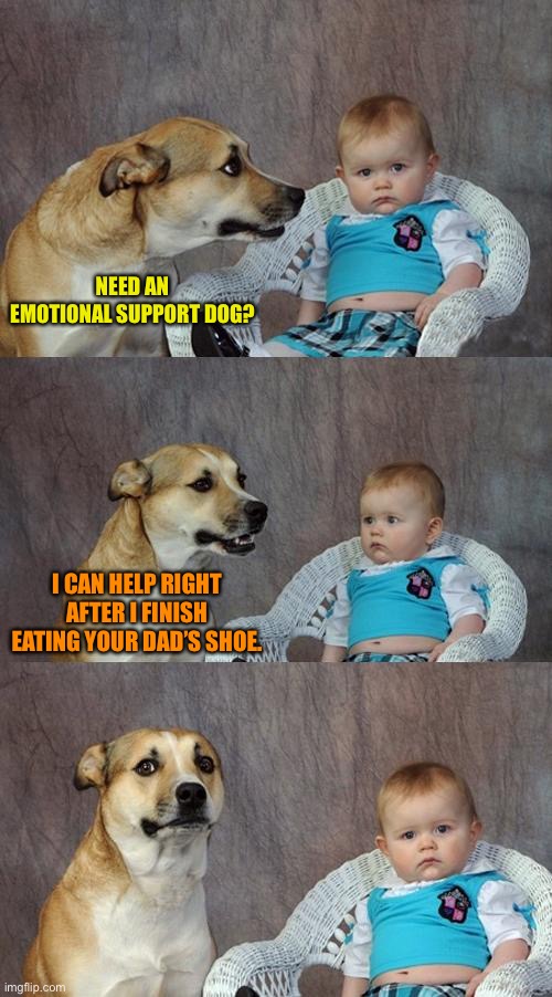 Dad Joke Dog Meme | NEED AN EMOTIONAL SUPPORT DOG? I CAN HELP RIGHT AFTER I FINISH EATING YOUR DAD’S SHOE. | image tagged in memes,dad joke dog | made w/ Imgflip meme maker