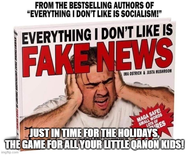 Fake News | JUST IN TIME FOR THE HOLIDAYS, THE GAME FOR ALL YOUR LITTLE QANON KIDS! | image tagged in fake news | made w/ Imgflip meme maker