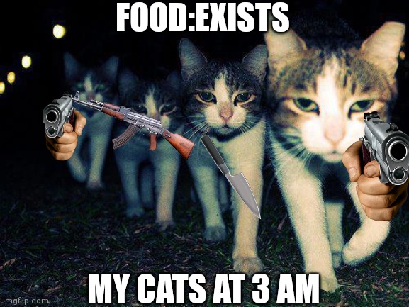 Cat | FOOD:EXISTS; MY CATS AT 3 AM | image tagged in memes,wrong neighboorhood cats | made w/ Imgflip meme maker