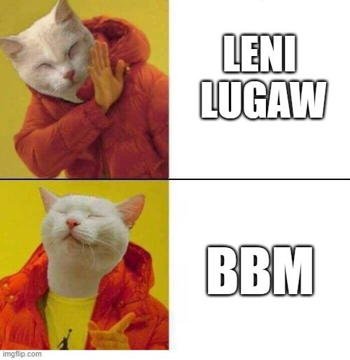 cat drake | LENI 
LUGAW; BBM | image tagged in cat drake | made w/ Imgflip meme maker