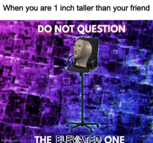 Never question the elevated one | image tagged in do not question the elevated one,oh wow are you actually reading these tags,memes,funny,i hope no one done it before | made w/ Imgflip meme maker