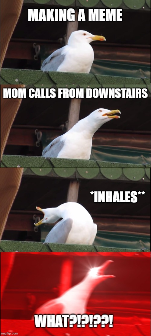 Inhaling Seagull | MAKING A MEME; MOM CALLS FROM DOWNSTAIRS; *INHALES**; WHAT?!?!??! | image tagged in memes,inhaling seagull | made w/ Imgflip meme maker