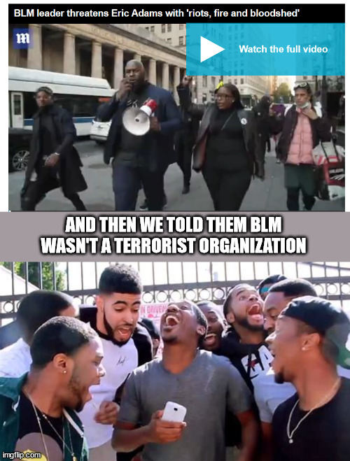 Black Lives Matter terrorists | AND THEN WE TOLD THEM BLM WASN'T A TERRORIST ORGANIZATION | image tagged in blm terror | made w/ Imgflip meme maker