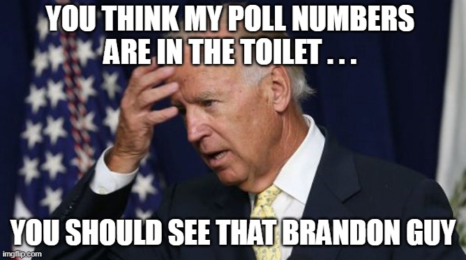 Let's GO Brandon | YOU THINK MY POLL NUMBERS 
ARE IN THE TOILET . . . YOU SHOULD SEE THAT BRANDON GUY | image tagged in joe biden worries | made w/ Imgflip meme maker