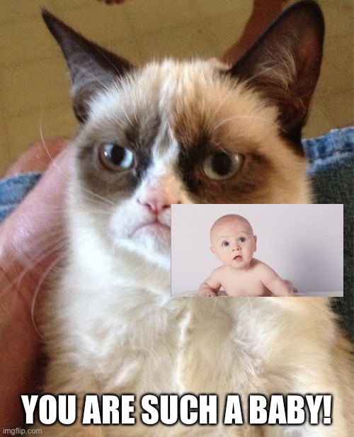 ???? | YOU ARE SUCH A BABY! | image tagged in memes,grumpy cat | made w/ Imgflip meme maker