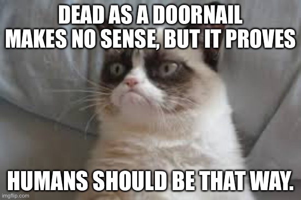 Hmm | DEAD AS A DOORNAIL MAKES NO SENSE, BUT IT PROVES; HUMANS SHOULD BE THAT WAY. | image tagged in grumpy cat | made w/ Imgflip meme maker