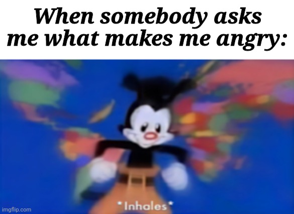 I can go on forever | When somebody asks me what makes me angry: | image tagged in yakko inhale | made w/ Imgflip meme maker