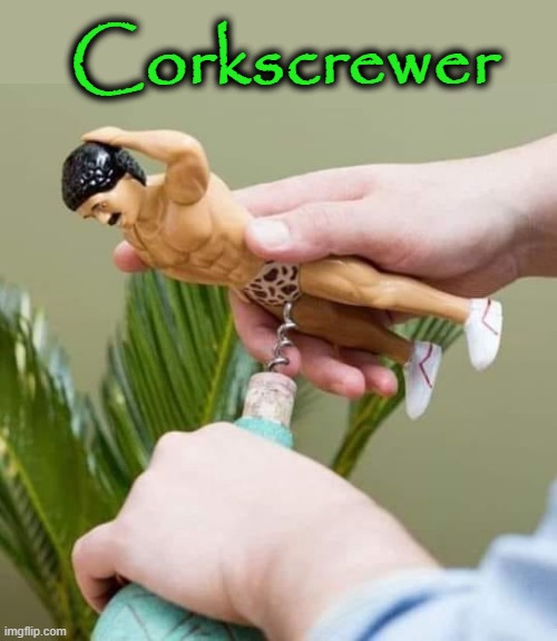 Corkscrewer | Corkscrewer | image tagged in i just want friends who love cats drink copious amounts of wine | made w/ Imgflip meme maker