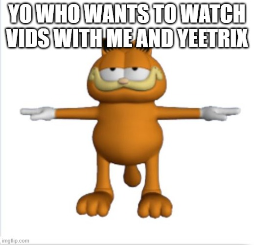 garfield t-pose | YO WHO WANTS TO WATCH VIDS WITH ME AND YEETRIX | image tagged in garfield t-pose | made w/ Imgflip meme maker