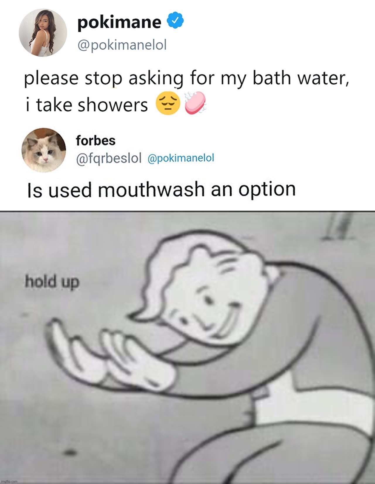 I would like your used mouthwash please :) | image tagged in fallout hold up,memes,funny,twitter,funny memes,lmao | made w/ Imgflip meme maker