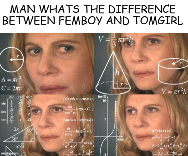 ? | MAN WHATS THE DIFFERENCE BETWEEN FEMBOY AND TOMGIRL | image tagged in calculating meme | made w/ Imgflip meme maker