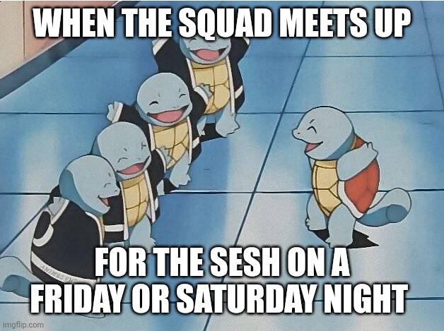 squirtle squad | WHEN THE SQUAD MEETS UP; FOR THE SESH ON A FRIDAY OR SATURDAY NIGHT | image tagged in squirtle squad,memes,squad goals | made w/ Imgflip meme maker