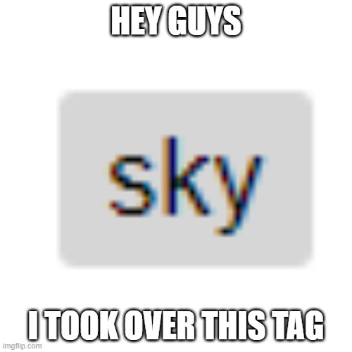 Tags: sky sky sky | HEY GUYS; I TOOK OVER THIS TAG | image tagged in sky | made w/ Imgflip meme maker