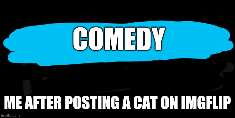 imgflip | COMEDY; ME AFTER POSTING A CAT ON IMGFLIP | image tagged in imgflip | made w/ Imgflip meme maker