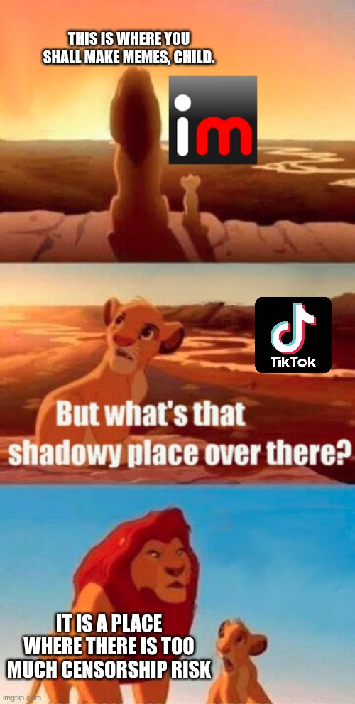 Imgflip is cool | THIS IS WHERE YOU SHALL MAKE MEMES, CHILD. IT IS A PLACE WHERE THERE IS TOO MUCH CENSORSHIP RISK | image tagged in memes,simba shadowy place,tiktok | made w/ Imgflip meme maker