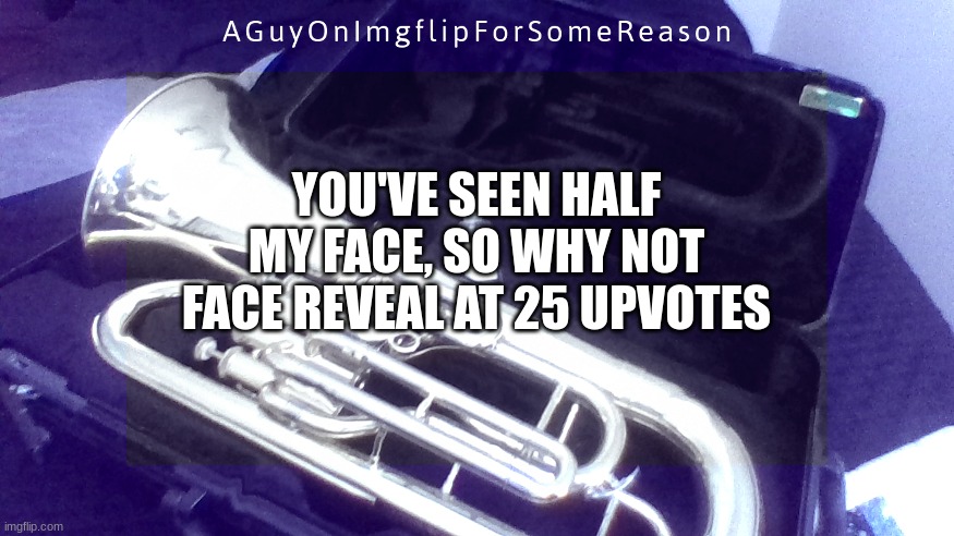 AGuyOnImgflip Announcement Temp 4 | YOU'VE SEEN HALF MY FACE, SO WHY NOT
FACE REVEAL AT 25 UPVOTES | image tagged in aguyonimgflip announcement temp 4 | made w/ Imgflip meme maker