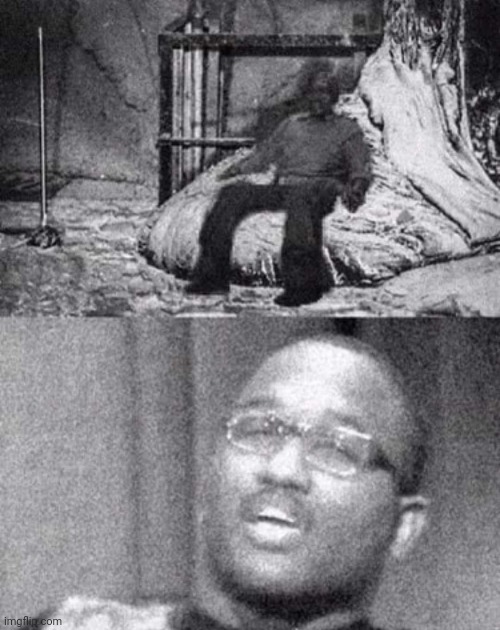 wack | made w/ Imgflip meme maker