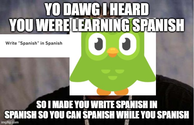 How my Spanish lessons are going (Duolingo) | YO DAWG I HEARD YOU WERE LEARNING SPANISH; SO I MADE YOU WRITE SPANISH IN SPANISH SO YOU CAN SPANISH WHILE YOU SPANISH | image tagged in memes,yo dawg heard you,spanish,duolingo,duo | made w/ Imgflip meme maker