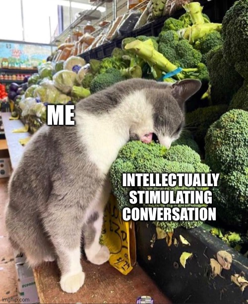 I live for discourse |  ME; INTELLECTUALLY STIMULATING CONVERSATION | image tagged in funny cat memes | made w/ Imgflip meme maker