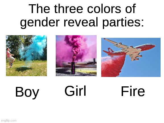 ah yes fire |  The three colors of gender reveal parties:; Girl; Fire; Boy | image tagged in blank white template,gender reveal,memes,funny,fire,plane | made w/ Imgflip meme maker