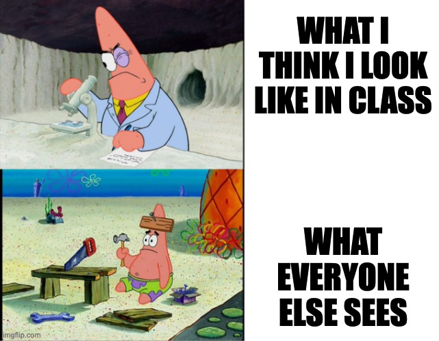 Class | WHAT I THINK I LOOK LIKE IN CLASS; WHAT EVERYONE ELSE SEES | image tagged in scientist patrick | made w/ Imgflip meme maker