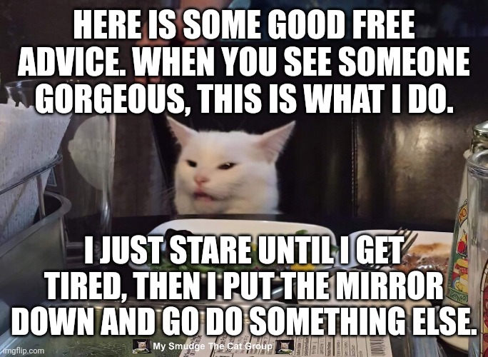 HERE IS SOME GOOD FREE ADVICE. WHEN YOU SEE SOMEONE GORGEOUS, THIS IS WHAT I DO. I JUST STARE UNTIL I GET TIRED, THEN I PUT THE MIRROR DOWN AND GO DO SOMETHING ELSE. | image tagged in smudge the cat | made w/ Imgflip meme maker