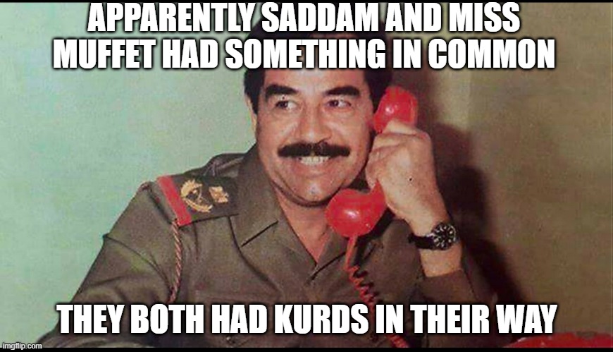 Interesting | APPARENTLY SADDAM AND MISS MUFFET HAD SOMETHING IN COMMON; THEY BOTH HAD KURDS IN THEIR WAY | image tagged in saddam hussein | made w/ Imgflip meme maker