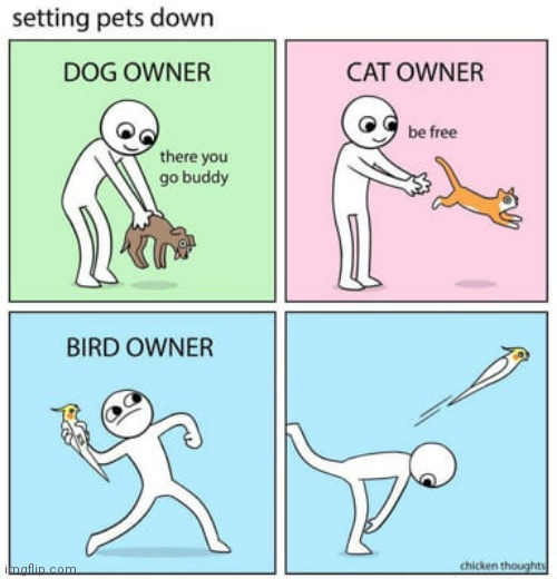 ... | image tagged in animals,pets | made w/ Imgflip meme maker