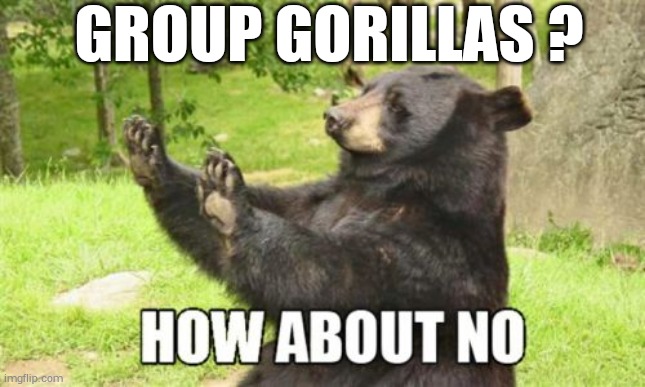 Group Gorilla | GROUP GORILLAS ? | image tagged in memes,how about no bear,bullying,respect | made w/ Imgflip meme maker