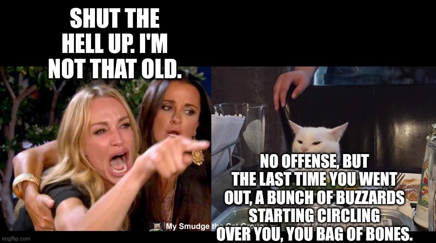 SHUT THE HELL UP. I'M NOT THAT OLD. NO OFFENSE, BUT THE LAST TIME YOU WENT OUT, A BUNCH OF BUZZARDS STARTING CIRCLING OVER YOU, YOU BAG OF BONES. | image tagged in smudge the cat | made w/ Imgflip meme maker