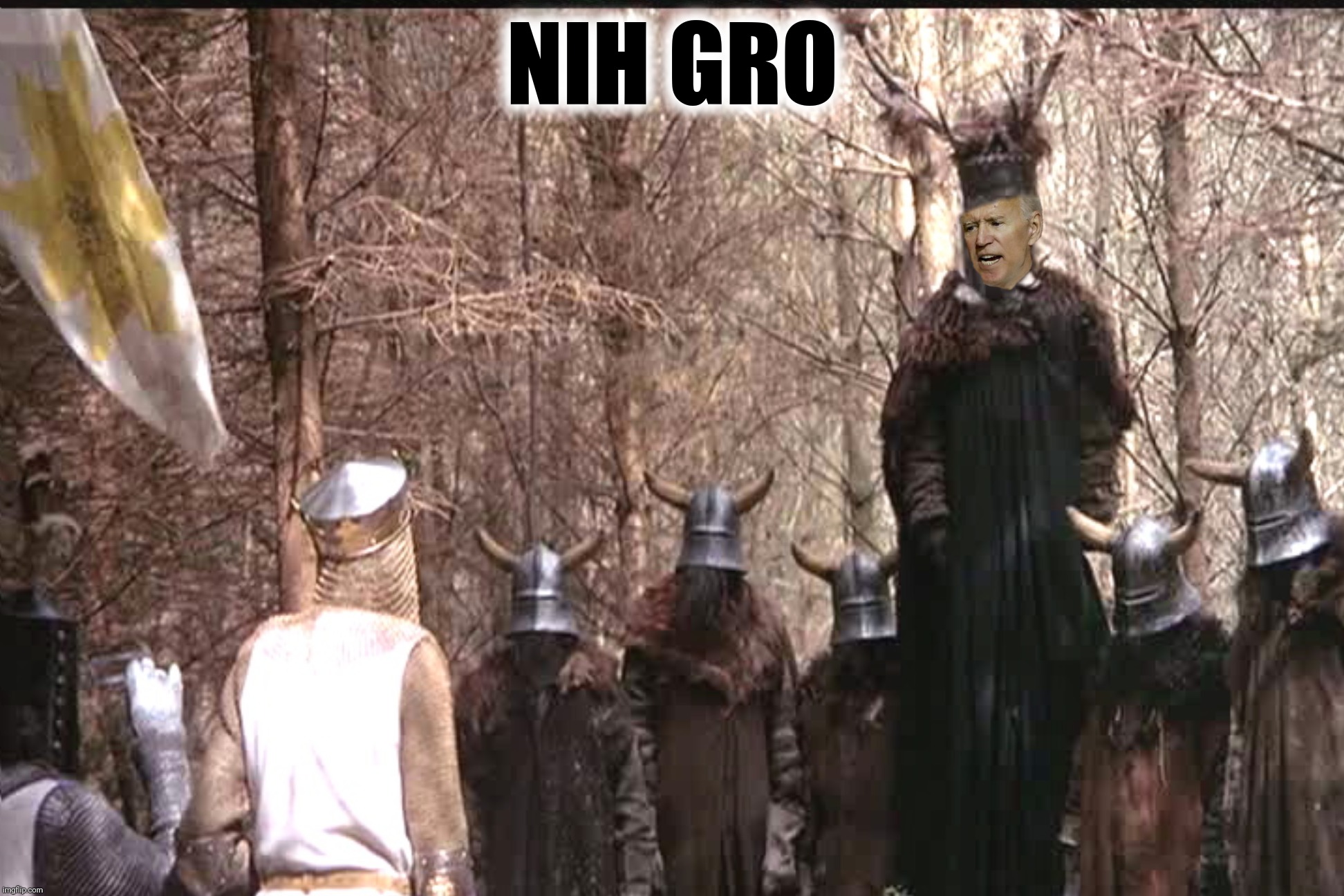 NIH GRO | made w/ Imgflip meme maker