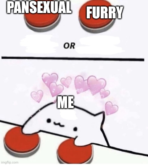 Two of the aspects of me | PANSEXUAL; FURRY; ME | image tagged in cat pressing two buttons | made w/ Imgflip meme maker