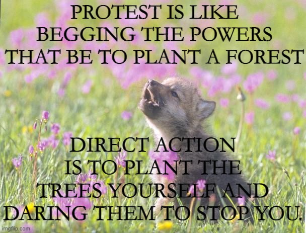 Climate Change | PROTEST IS LIKE BEGGING THE POWERS THAT BE TO PLANT A FOREST; DIRECT ACTION IS TO PLANT THE TREES YOURSELF AND DARING THEM TO STOP YOU. | image tagged in baby insanity wolf,climate change,wolf,forest,environment | made w/ Imgflip meme maker