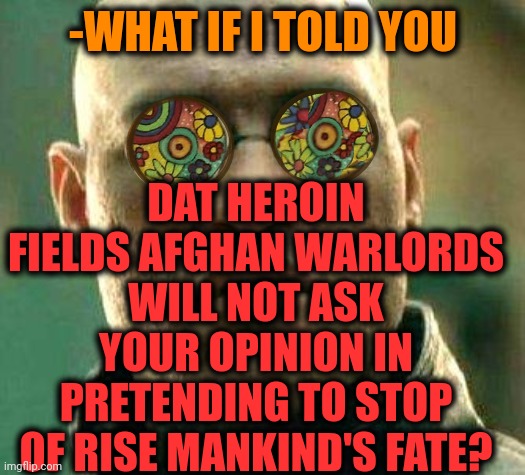 -We are just simple elements. | DAT HEROIN FIELDS AFGHAN WARLORDS WILL NOT ASK YOUR OPINION IN PRETENDING TO STOP OF RISE MANKIND'S FATE? -WHAT IF I TOLD YOU | image tagged in acid kicks in morpheus,heroin,don't do drugs,afghanistan,warcraft,mankind | made w/ Imgflip meme maker