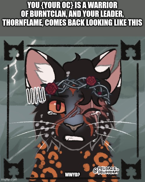 You can be her mate, must be male tho (my username says it all) Might be a bit of blood btw | YOU {YOUR OC} IS A WARRIOR OF BURNTCLAN, AND YOUR LEADER, THORNFLAME, COMES BACK LOOKING LIKE THIS; WWYD? | image tagged in roleplay | made w/ Imgflip meme maker