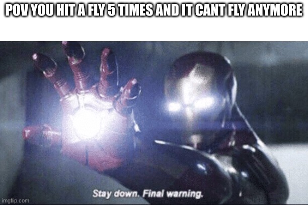 POV YOU HIT A FLY 5 TIMES AND IT CANT FLY ANYMORE | image tagged in iron man | made w/ Imgflip meme maker