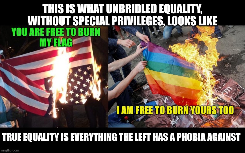 This is what equality looks like | THIS IS WHAT UNBRIDLED EQUALITY, WITHOUT SPECIAL PRIVILEGES, LOOKS LIKE; TRUE EQUALITY IS EVERYTHING THE LEFT HAS A PHOBIA AGAINST | image tagged in equality,inequality,media bias,liberal bias,gang,flags | made w/ Imgflip meme maker