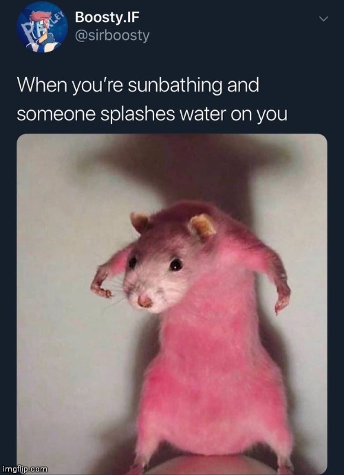 E | made w/ Imgflip meme maker