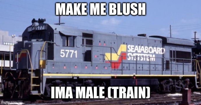 make me | MAKE ME BLUSH; IMA MALE (TRAIN) | image tagged in memes,seaiaiboard system,universal | made w/ Imgflip meme maker