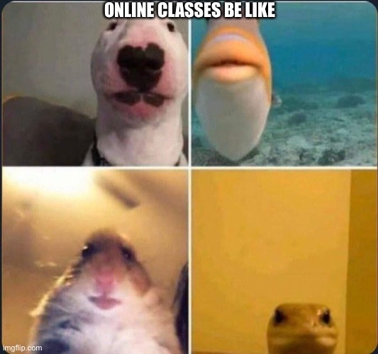 First online class | ONLINE CLASSES BE LIKE | image tagged in first online class | made w/ Imgflip meme maker
