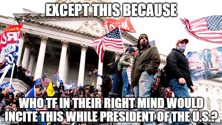 Capitol Riot | EXCEPT THIS BECAUSE WHO TF IN THEIR RIGHT MIND WOULD INCITE THIS WHILE PRESIDENT OF THE U.S.? | image tagged in capitol riot | made w/ Imgflip meme maker