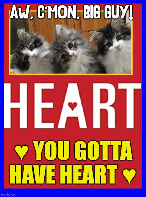 Curious Kitties want you to show the love | AW, C'MON, BIG GUY! ♥ YOU GOTTA HAVE HEART ♥ | image tagged in vince vance,funny cat memes,cats,heart,meow,i love cats | made w/ Imgflip meme maker