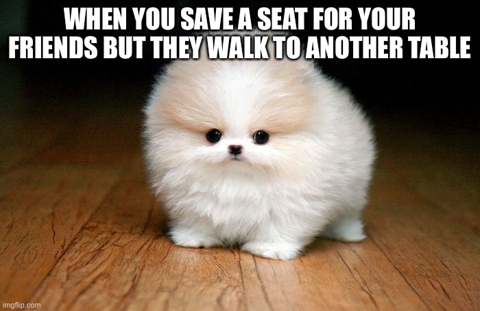 Derp Doge | WHEN YOU SAVE A SEAT FOR YOUR FRIENDS BUT THEY WALK TO ANOTHER TABLE | image tagged in derp doge | made w/ Imgflip meme maker