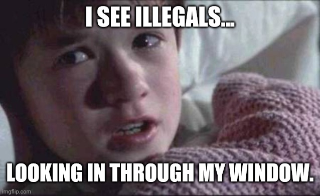 Keep those windows locked and guns loaded. | I SEE ILLEGALS... LOOKING IN THROUGH MY WINDOW. | image tagged in memes | made w/ Imgflip meme maker