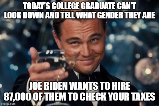 Taxes | TODAY'S COLLEGE GRADUATE CAN'T LOOK DOWN AND TELL WHAT GENDER THEY ARE; JOE BIDEN WANTS TO HIRE 87,000 OF THEM TO CHECK YOUR TAXES | image tagged in memes,leonardo dicaprio cheers | made w/ Imgflip meme maker
