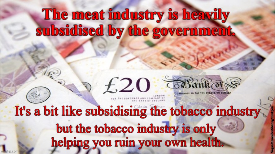 Subsidised |  The meat industry is heavily 
subsidised by the government. It's a bit like subsidising the tobacco industry; but the tobacco industry is only 
helping you ruin your own health. VeganMemesForSharing/minkpen | image tagged in vegan,meat,farming,government corruption,government,subsidies | made w/ Imgflip meme maker